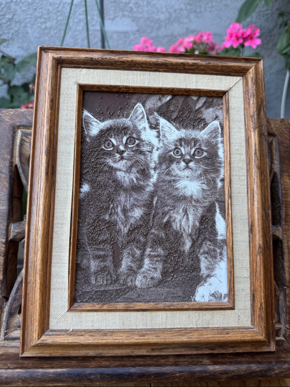 Framed Twin Kittens Artwork - Brown Wood Frame with Linen Mat